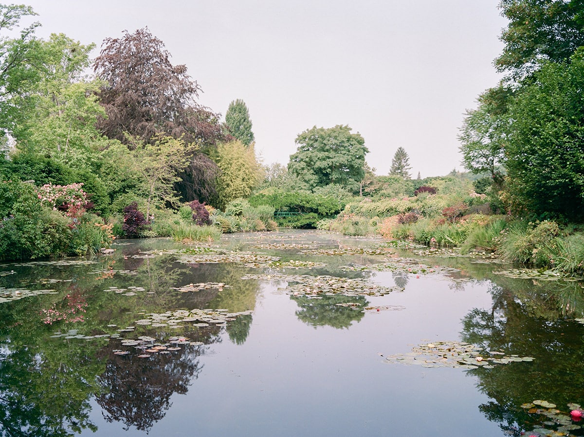 Monet's waterlily pond
